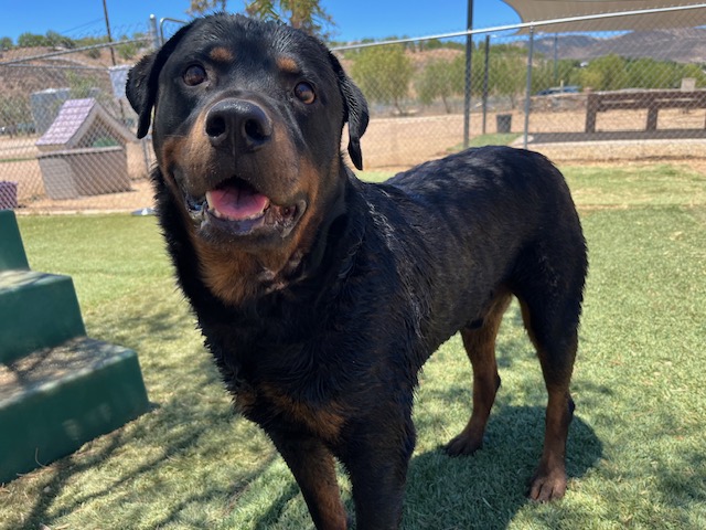 BBA8E017-6221-4589-85C7-1229CF1C8DBE